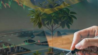 A&ccedil;&otilde;es Brasileiras que ajudam na buscar por Dividendos Mensais e a Liberdade Financeira